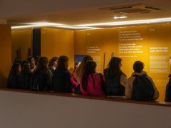 JORNADAS DE CIÊNCIA DE AROUCA 2025 (7.ª edição)