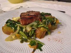 II Jornada da Floresta - Dia 23