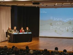 II Jornada da Floresta - Dia 24